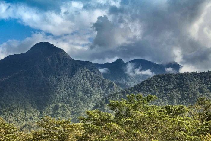 La Ceiba