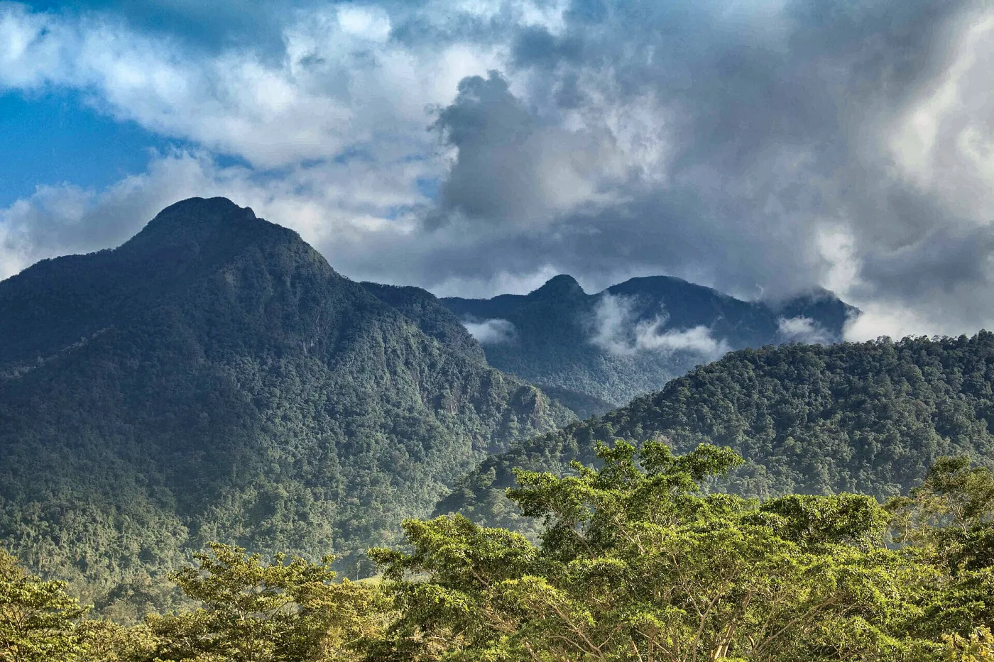 La Ceiba