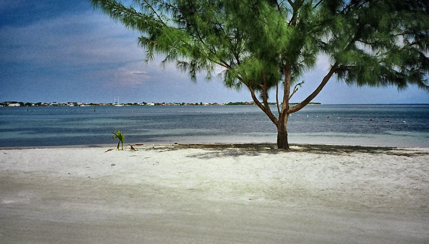Utila